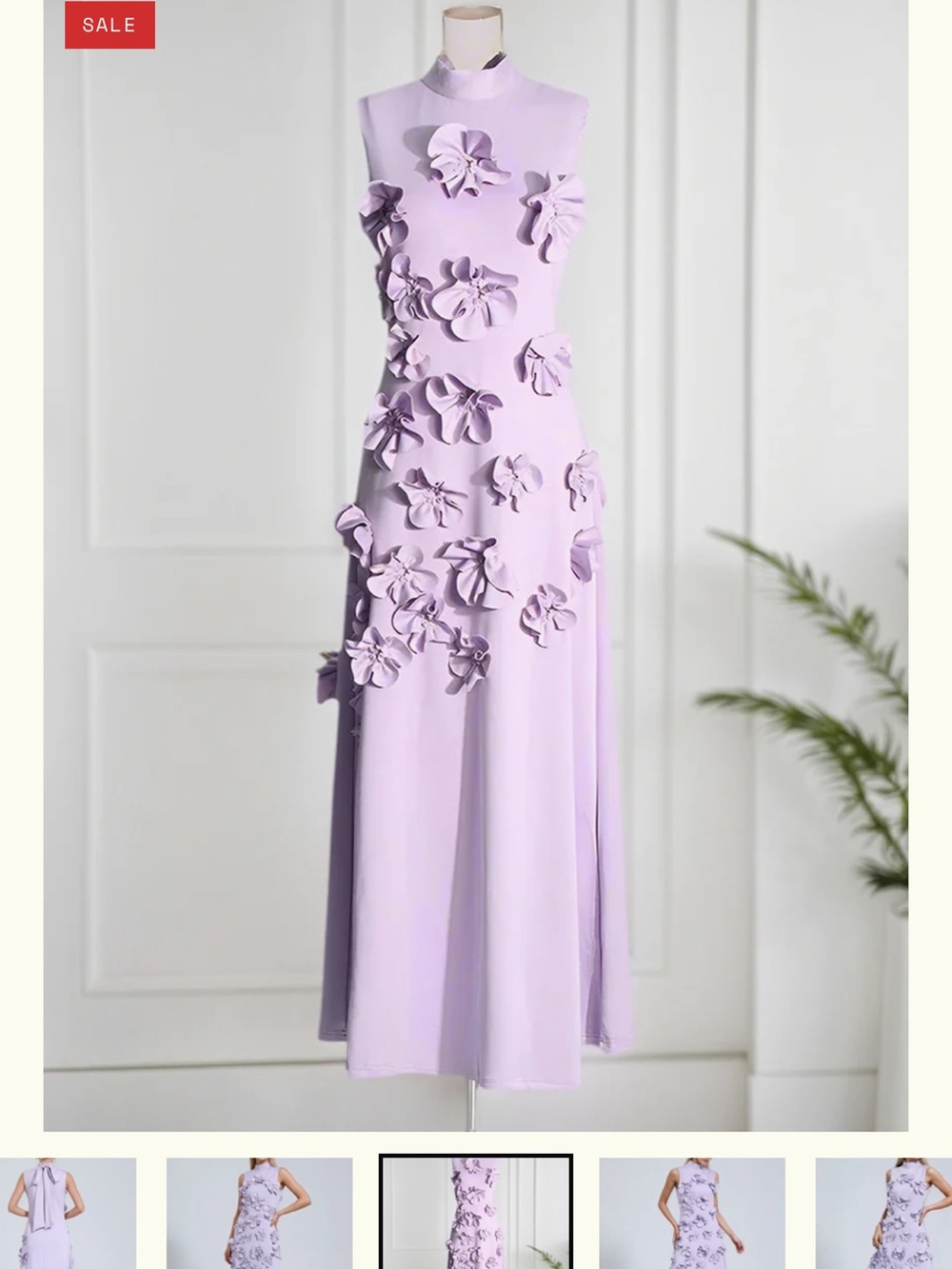 Sleeveless Floral Appliqué Maxi Dress